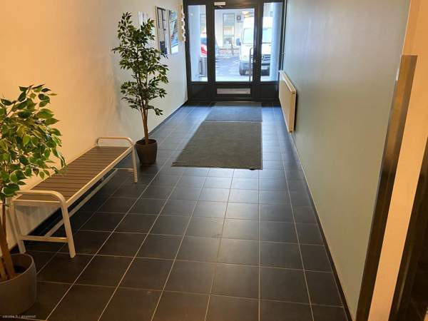 2h + s + lp  Turtkul - photo 3