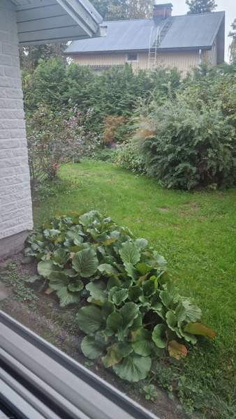 2h + s  Lapua - photo 8