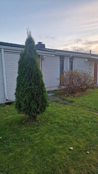 1h + s  Lapua - изображение 5