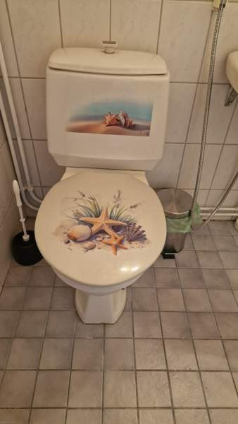 1h + s  Lapua - изображение 7