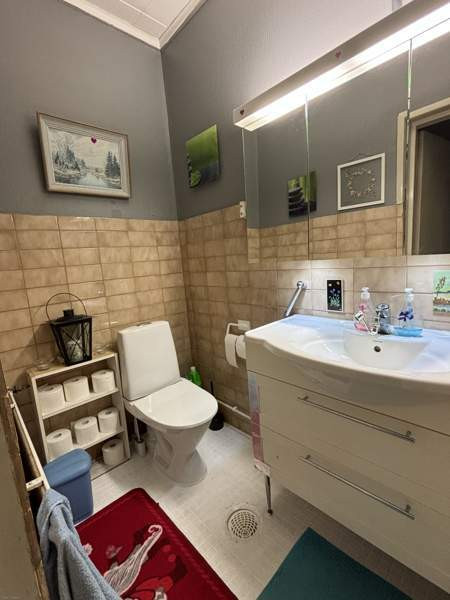 3h + k + s + p  Laitila - изображение 8