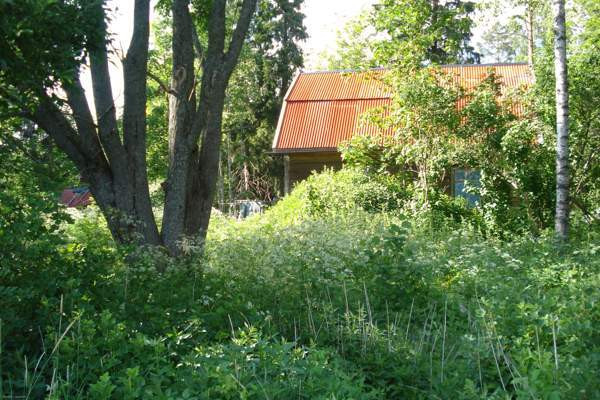 4h  Hausjärvi - valokuva 1