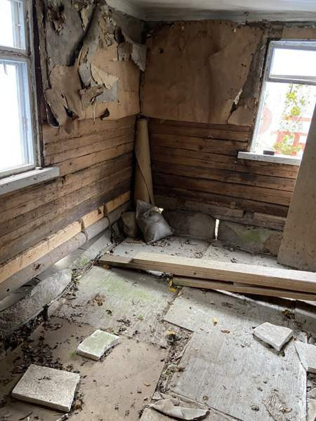 4h  Hausjärvi - valokuva 6