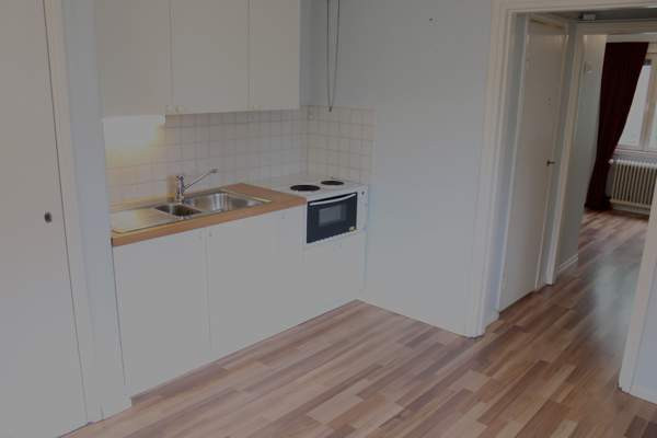 1h + k+kph+piha  Sarov - photo 2