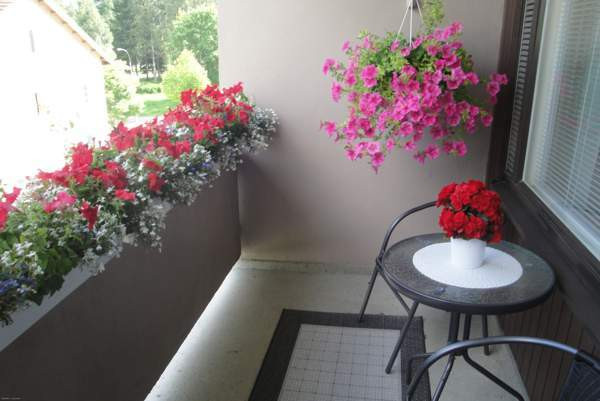 1h + kk + p  Pieksämäki - valokuva 7