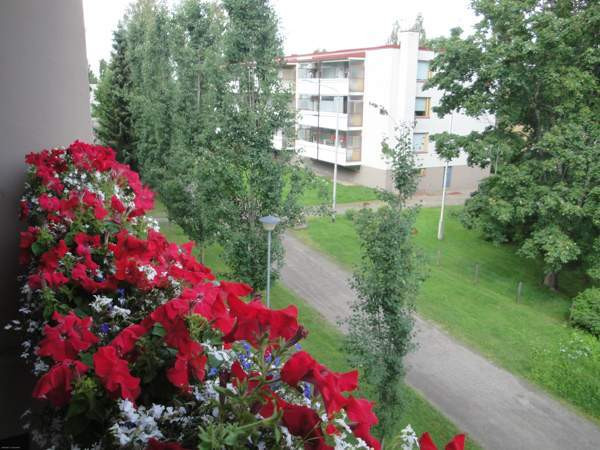 1h + kk + p  Pieksämäki - valokuva 8