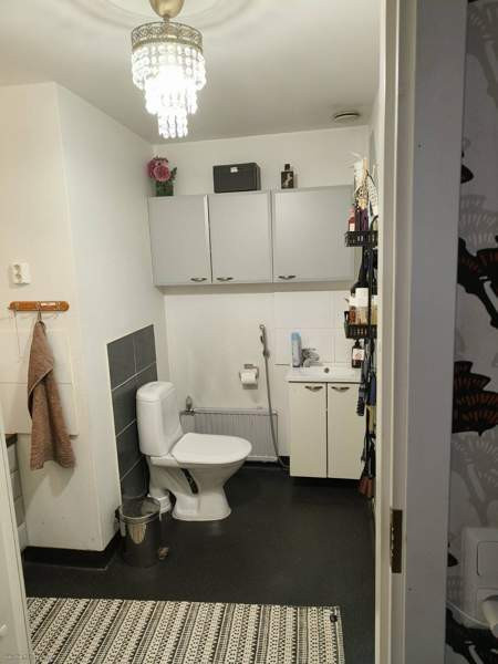 4h + k + s  Zaporiz'ka Oblast' - valokuva 7