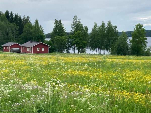 3h+k+kkh+s  Iisalmi – foto 1