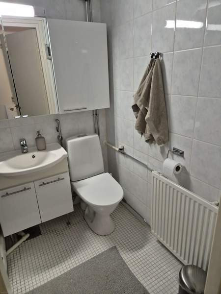 3h + rt + k + p  Каяни - изображение 7