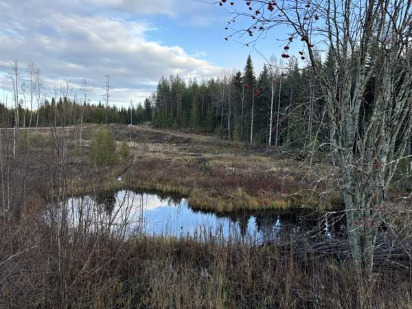 3h  Joensuu - valokuva 5