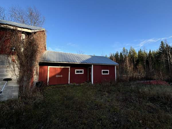 3h  Joensuu - valokuva 4