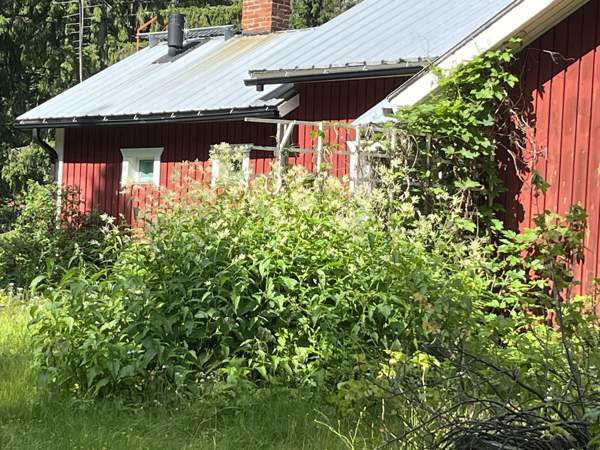 4h +k +  kph + s + erillinen WC  Kuusamo – foto 4