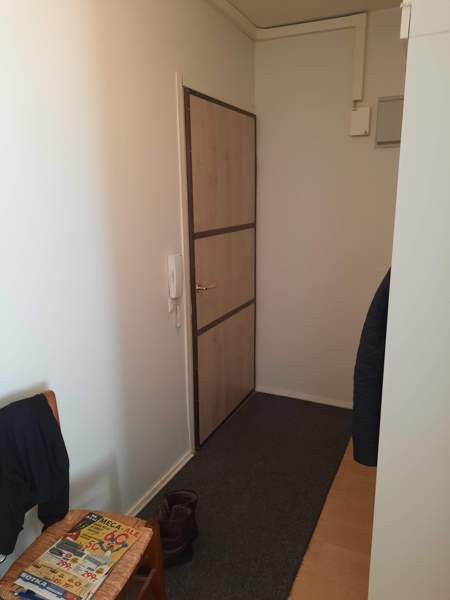 1h + s + p  Глебычево - изображение 8