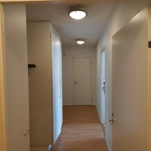 2h + s + p  Турткуль - изображение 6