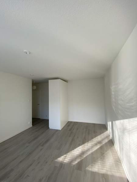 1h  Вааса - изображение 6