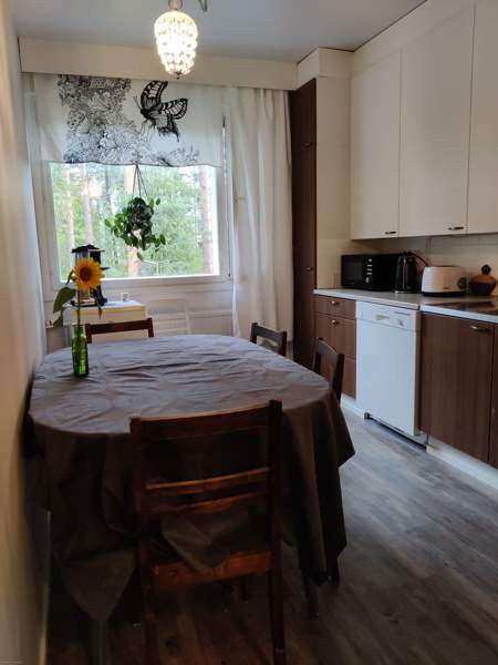 4h, k, kph, wc  Ювяскюля - изображение 1