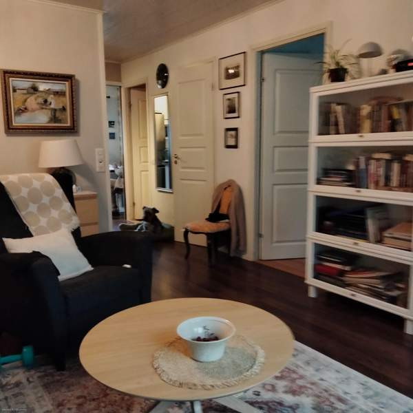 2h + k+ s  Äänekoski – foto 2