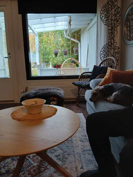 2h + k+ s  Äänekoski – foto 1