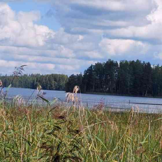 2h + s  Kuhmoinen