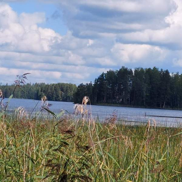 2h + s  Kuhmoinen - valokuva 4