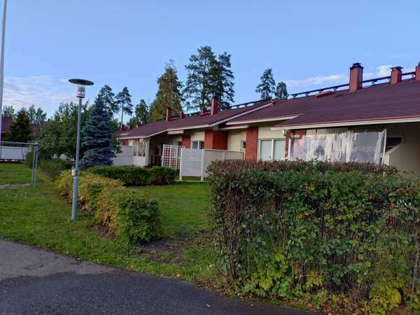 3h + avok  Kontiolahti - valokuva 4