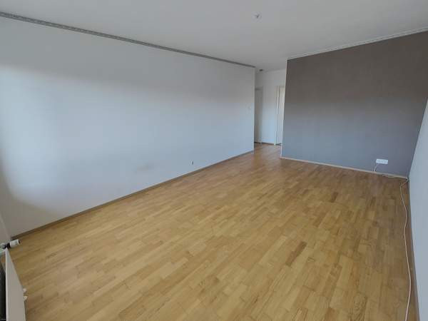 2h + k + p  Jaervenpaeae - photo 7