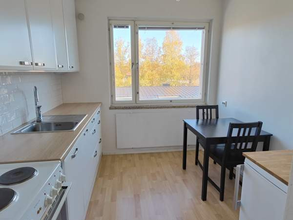 2h + k + p  Jaervenpaeae - photo 3