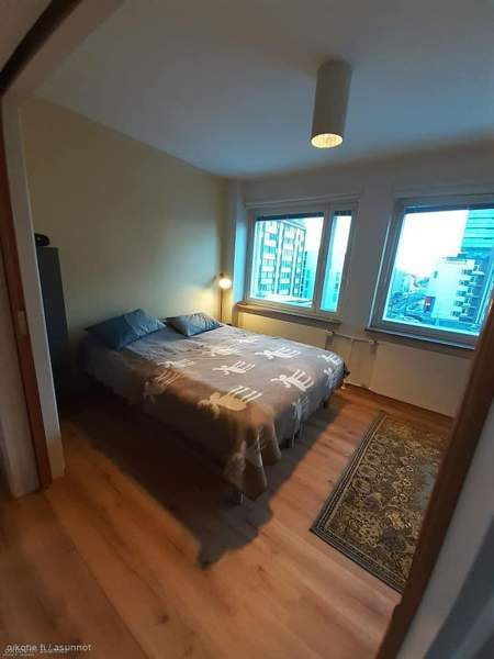 3h + p  Оулу - изображение 3