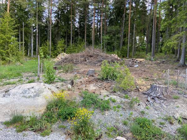 5h + s  Raisio - valokuva 4