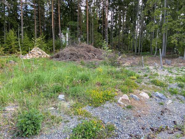 5h + s  Raisio - valokuva 5