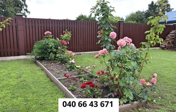 6h + k  Maardu - valokuva 4