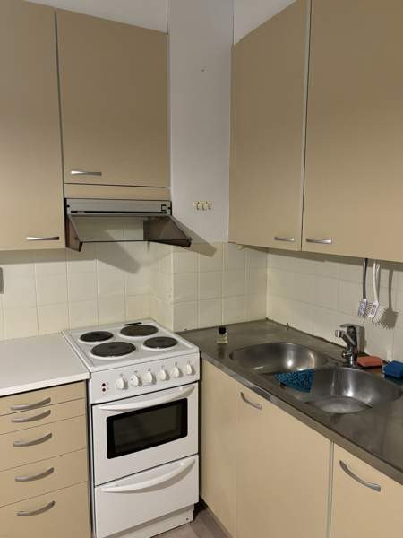 1h + k + s + p  Viitasaari – foto 4