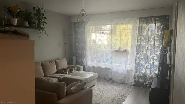 3h + s + p  Чукотский АО - изображение 6