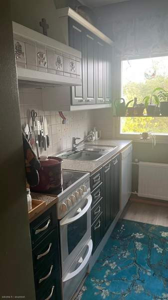 3h + s + p  Чукотский АО - изображение 2