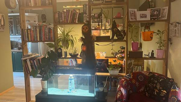 3h + s + p  Чукотский АО - изображение 4