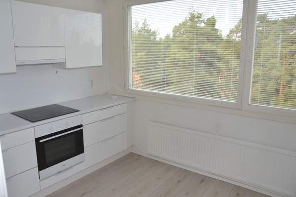 3h + k + p  Turtkul - photo 2