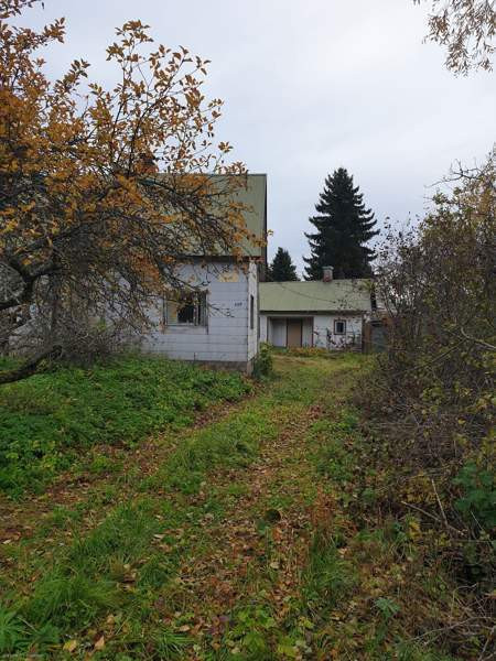 3h + k  Хамина - изображение 1