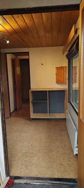 5h + avok + s  Juuka - valokuva 2