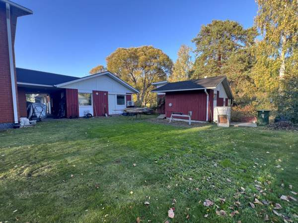 6h + s + p + kellari  Чукотский АО - изображение 8