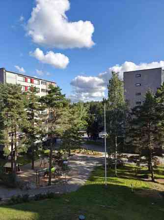 2h + p  Турткуль