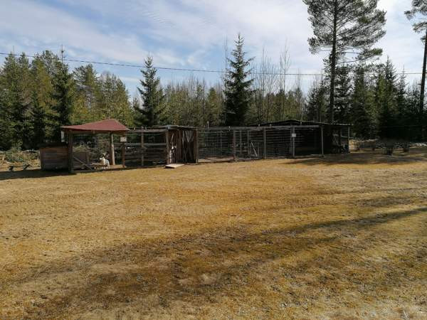 10h + k + s + p  Viitasaari - valokuva 5