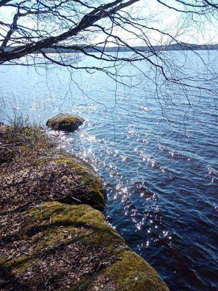 5h + avok + s+kph+2vh+kylmiö  As Salamiyah – foto 7