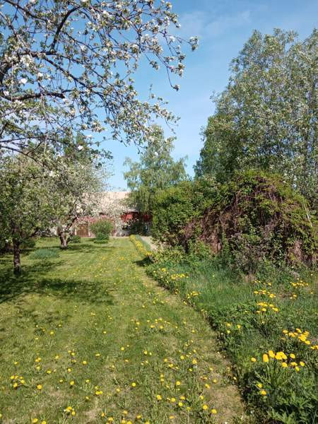 5h + avok + s+kph+2vh+kylmiö  As Salamiyah – foto 4