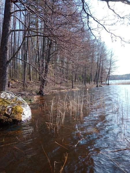 5h + avok + s+kph+2vh+kylmiö  As Salamiyah – foto 6