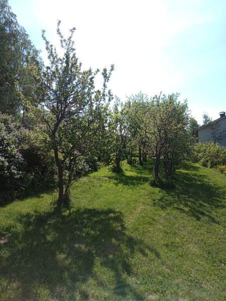 5h + avok + s+kph+2vh+kylmiö  As Salamiyah – foto 3