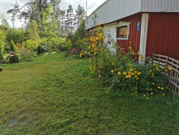 3h + avok + s  Kurikka - изображение 2