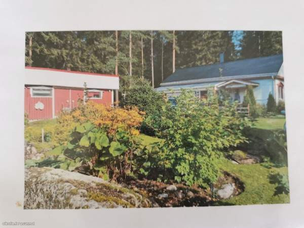 3h + avok + s  Kurikka - изображение 3