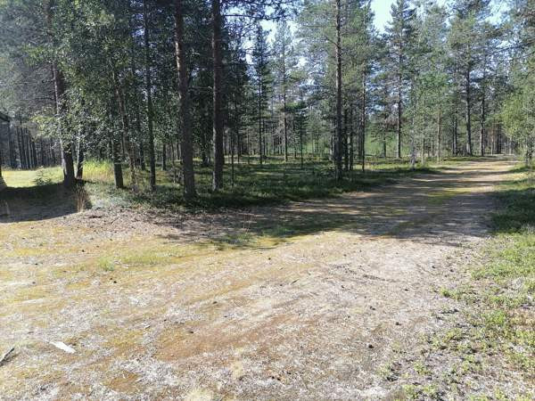 2h  Kolari - valokuva 8