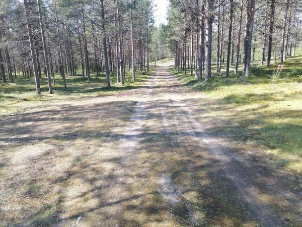 2h  Kolari - valokuva 2