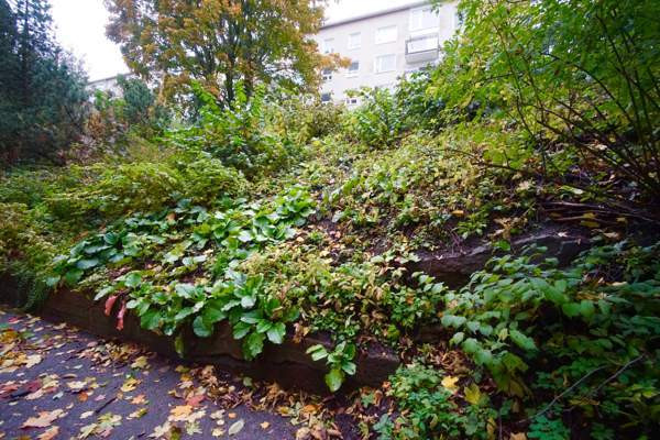 2h + kk + kph  Helsinki - изображение 3